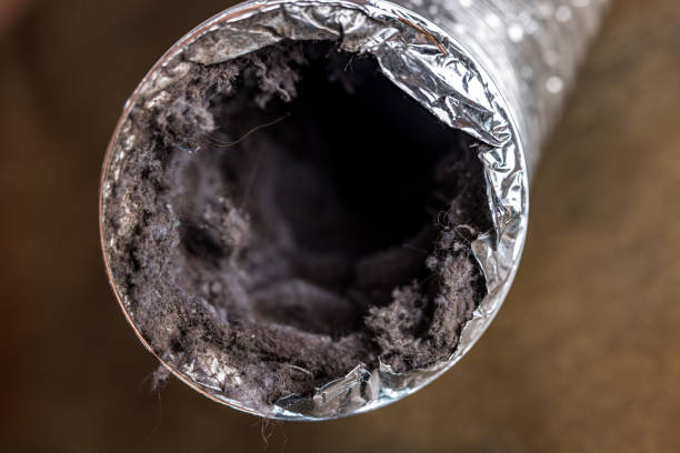 Best Emergency Air Duct Cleaning  in Wharton, NJ